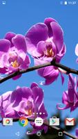 Orchid Live Wallpaper تصوير الشاشة 2