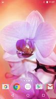 Orchid Live Wallpaper تصوير الشاشة 3