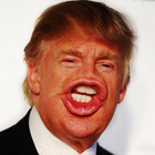 Funny Donald Trump icône