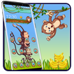 Funny Monkey