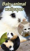 Baby Animal Wallpapers Affiche