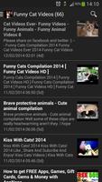 Funny Cat Videos screenshot 3