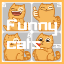 Funny Cats 2048 APK