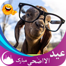 Funny Eid Gif Animation : Bakra Eid aplikacja