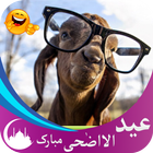 Funny Eid Gif Animation : Bakra Eid icône