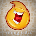Funny Videos