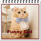 Cute Cat Gallerys ไอคอน