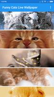 Funny Cat Animation Wallpaper Ekran Görüntüsü 1
