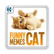 Funny Cat Memes 2017
