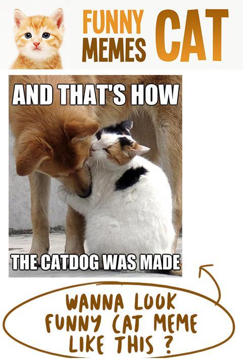 Funny Cat Memes APK for Android Download Funny Cat Memes APK for Android Download