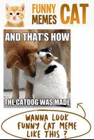 Funny Cat Memes Affiche