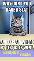 funny cat pictures with captions poster