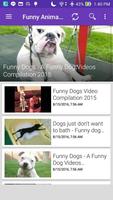 Funny Animal Compilation Ekran Görüntüsü 3