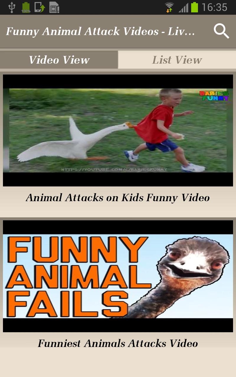 Funny Animal Attack Videos - Live Real Time Clips APK voor Android Download Funny Animal Attack Videos - Live Real Time Clips APK voor Android Download