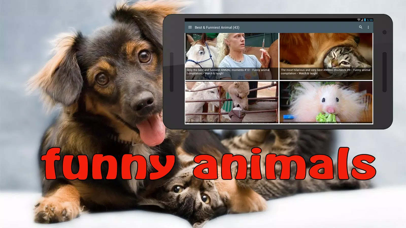 Funny Animals Fails APK for Android Download Funny Animals Fails APK for Android Download