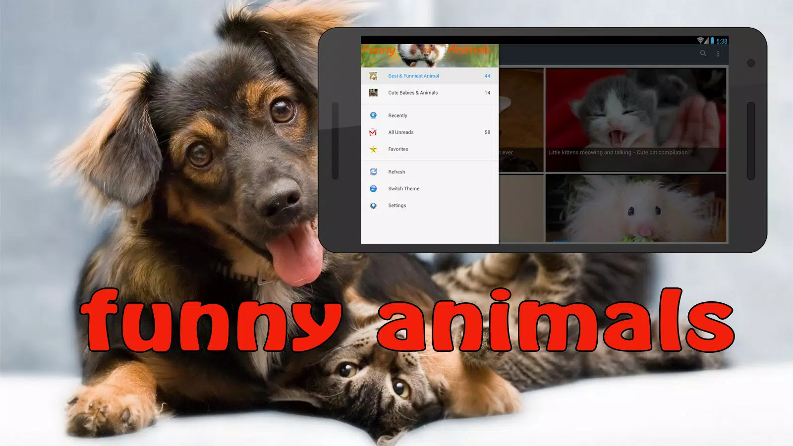 Funny Animals Fails APK for Android Download