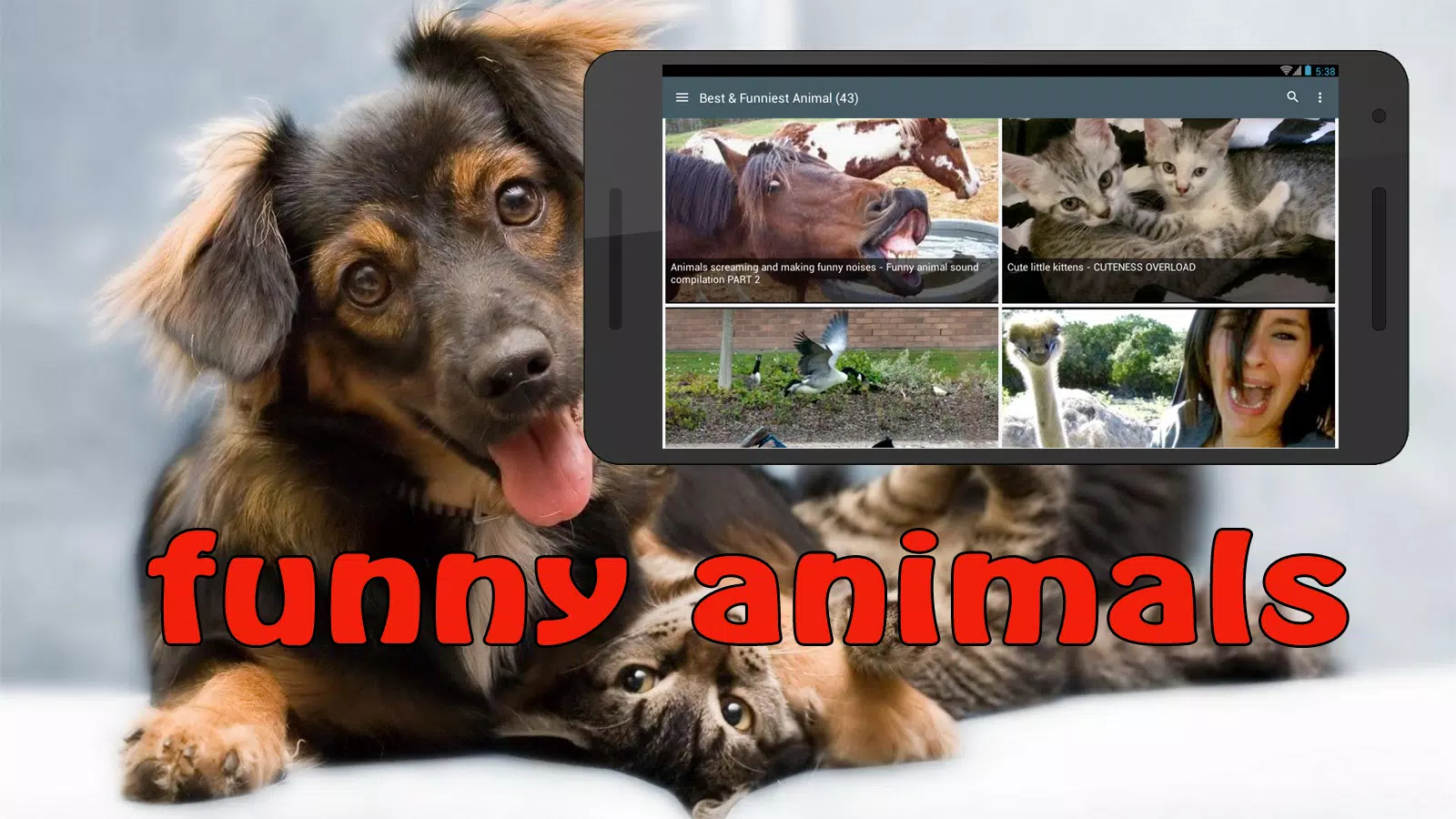 Funny Animals Fails APK for Android Download Funny Animals Fails APK for Android Download