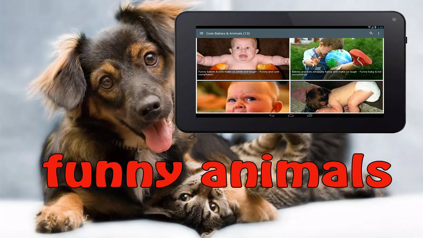 Funny Animals Fails APK for Android Download Funny Animals Fails APK for Android Download