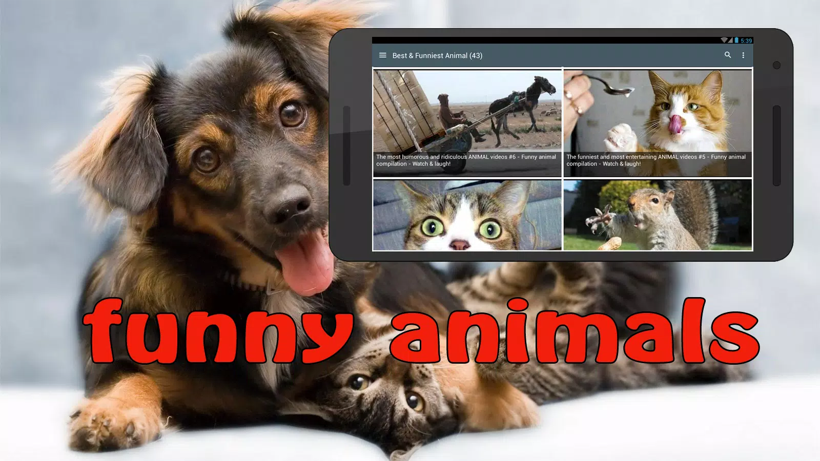 Funny Animals Fails APK for Android Download