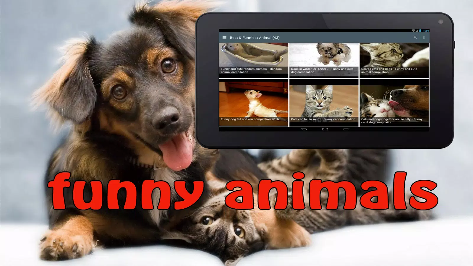 Funny Animals Fails APK for Android Download Funny Animals Fails APK for Android Download