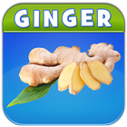 Benefits of Ginger 图标