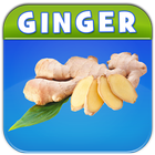 Benefits of Ginger icon