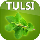 Benefits of Tulsi icône