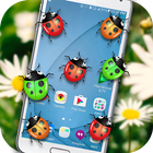 Ladybug on Screen icono