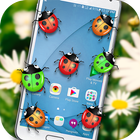 Ladybug on Screen icon