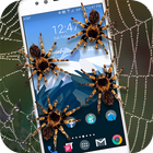 Spider on Screen-icoon