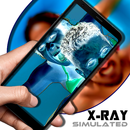Camera X-Ray vision effect (SIMULATED) APK