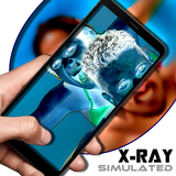 Visión de Rayos-X simulado (SIMULATED) icono