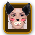 Funny Face App icon