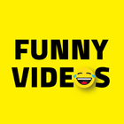 TOP FUNNY VIDEOS (2018) icône