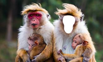 Funny Monkey Photo Montage ภาพหน้าจอ 3