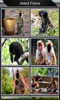 Funny Monkey Photo Montage ภาพหน้าจอ 1