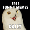 Funny Memes APK