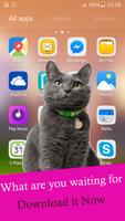 Cat walks on screen phone funny joke plakat