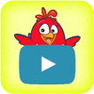 video Chicken Channel