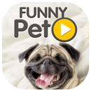 Funny Pets Video aplikacja