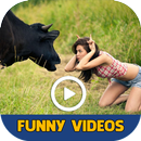 Funny Videos - Best Funny Videos Compilation APK