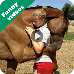 Funny videos for whatsapp APK download