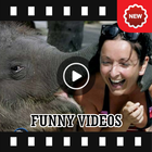 Funny Videos 2018 - Free-icoon