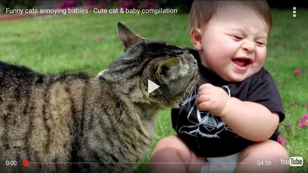 Funny Videos Fails APK pour Android Télécharger Funny Videos Fails APK pour Android Télécharger