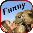 FUNNY VIDEOS : Latest Indian Comedy Clips App icône