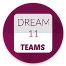 pro tips dream11 APK