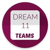 pro tips dream11 biểu tượng