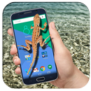 Lizard on Screen- Mobile Screen Komodo Gecko Prank APK
