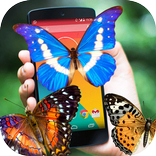 Butterfly on screen prank