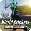Cricket World Cup 2018 - Cricket Champion League APK